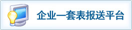 企業(yè)一套表報(bào)送平臺(tái)
