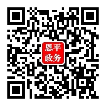恩平政務 恩平政務
