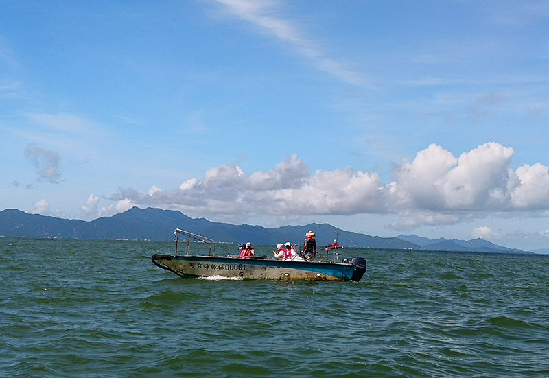 200629藍(lán)色海洋、綠色良田、黨旗飄揚(yáng) (1).jpg