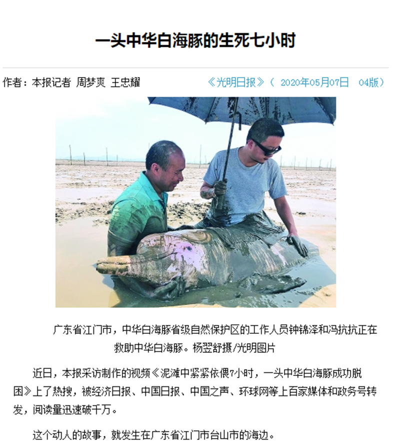 200629藍(lán)色海洋、綠色良田、黨旗飄揚(yáng) (1).png