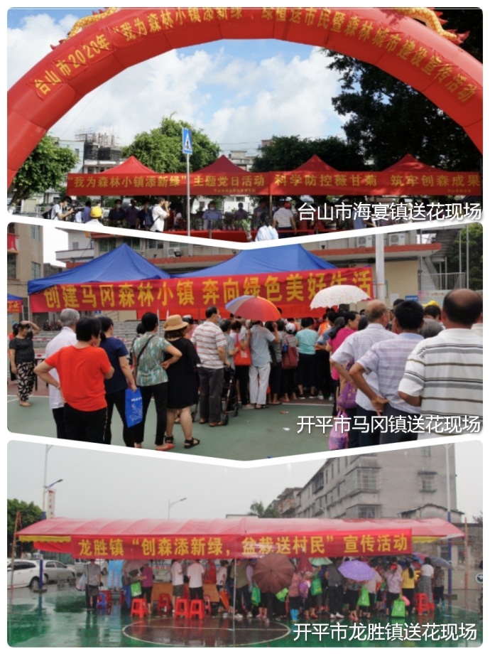 200714江門(mén)市成功舉辦2020年“我為森林小鎮(zhèn)添新綠”綠植送市民暨森林城市建設(shè)宣傳活動(dòng) (2).jpg