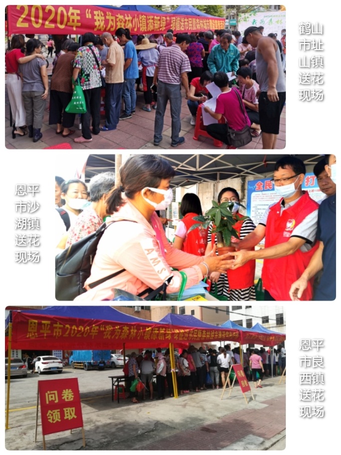 200714江門(mén)市成功舉辦2020年“我為森林小鎮(zhèn)添新綠”綠植送市民暨森林城市建設(shè)宣傳活動(dòng) (3).jpg