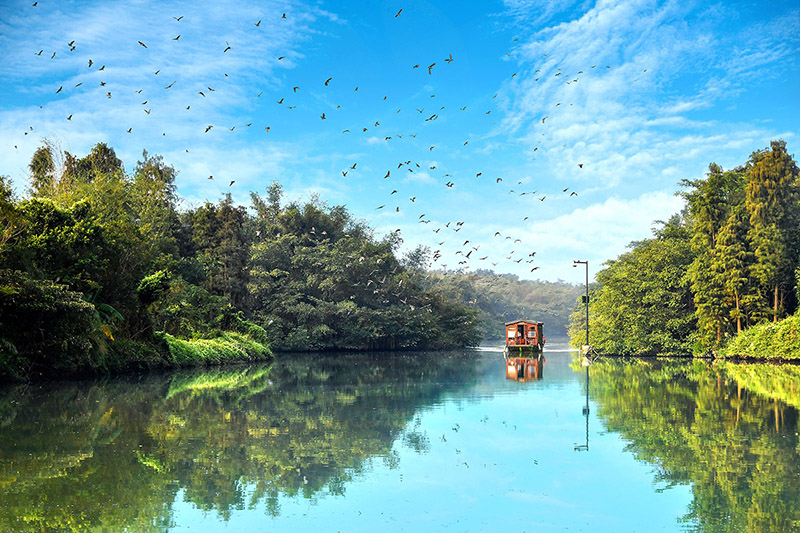 200917統(tǒng)籌山水林田湖草，構(gòu)建僑鄉(xiāng)特色森林城 (4).jpg