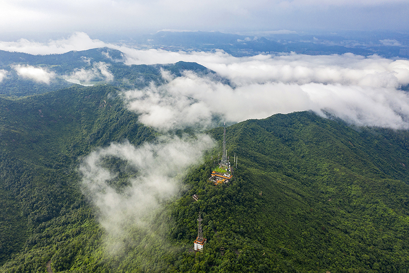 200917統(tǒng)籌山水林田湖草，構(gòu)建僑鄉(xiāng)特色森林城 (5).jpg