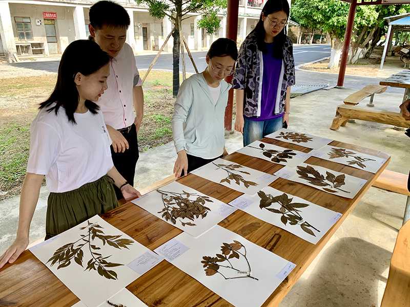 201123第二屆廣東省森林文化周江門分會場活動在北峰山國家森林公園開幕 (4).jpg