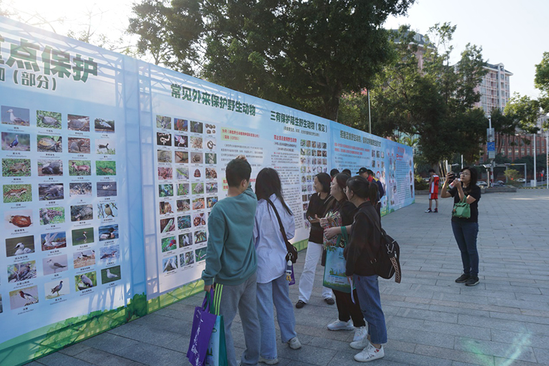 201203江門市自然資源局組織開展野生動物保護(hù)暨森林防火宣傳活動 (6).jpg