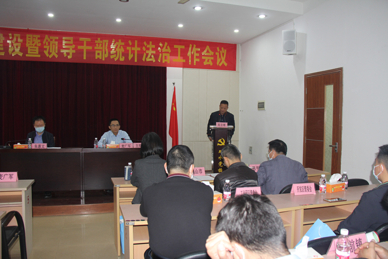 鎮(zhèn)（街）代表發(fā)言.JPG