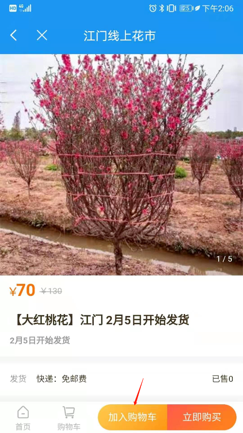 圖片