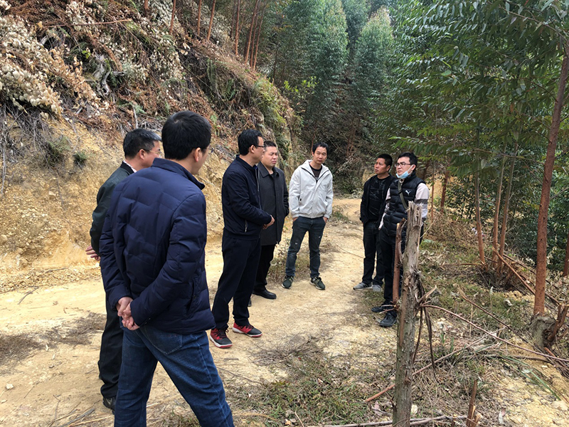 210202江門市自然資源局對市直屬林場2020年度營造林及安全生產(chǎn)等工作進行年終檢查 (5).jpg