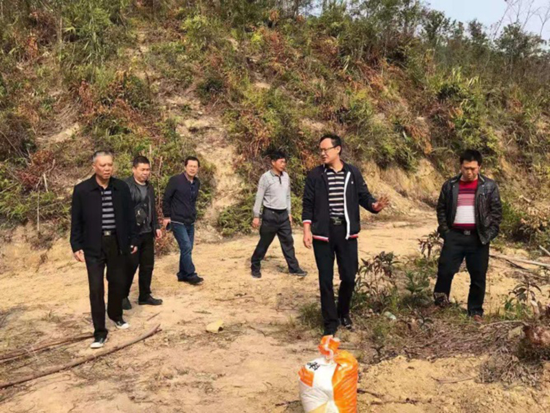 210202江門市自然資源局對市直屬林場2020年度營造林及安全生產(chǎn)等工作進行年終檢查 (6).jpg