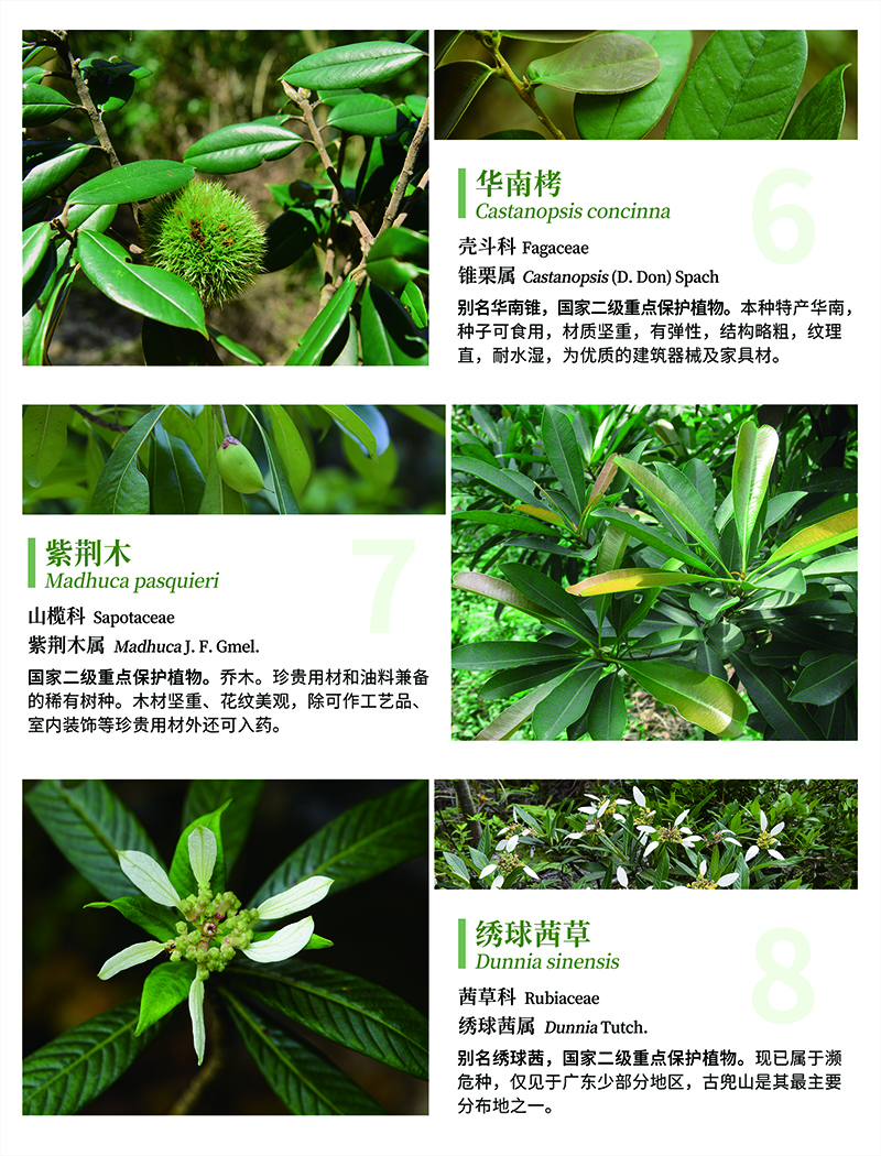 210303推動綠色發(fā)展，促進人與自然和諧共生 (15).jpg