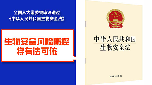 210308經(jīng)營養(yǎng)殖“竹蟲”“東亞飛蝗”不可取！ (5).jpg
