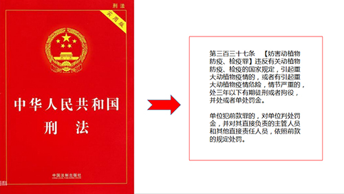 210308經(jīng)營養(yǎng)殖“竹蟲”“東亞飛蝗”不可取！ (6).jpg