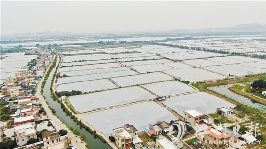 大鰲鎮(zhèn)水產(chǎn)養(yǎng)殖業(yè)持續(xù)健康發(fā)展。