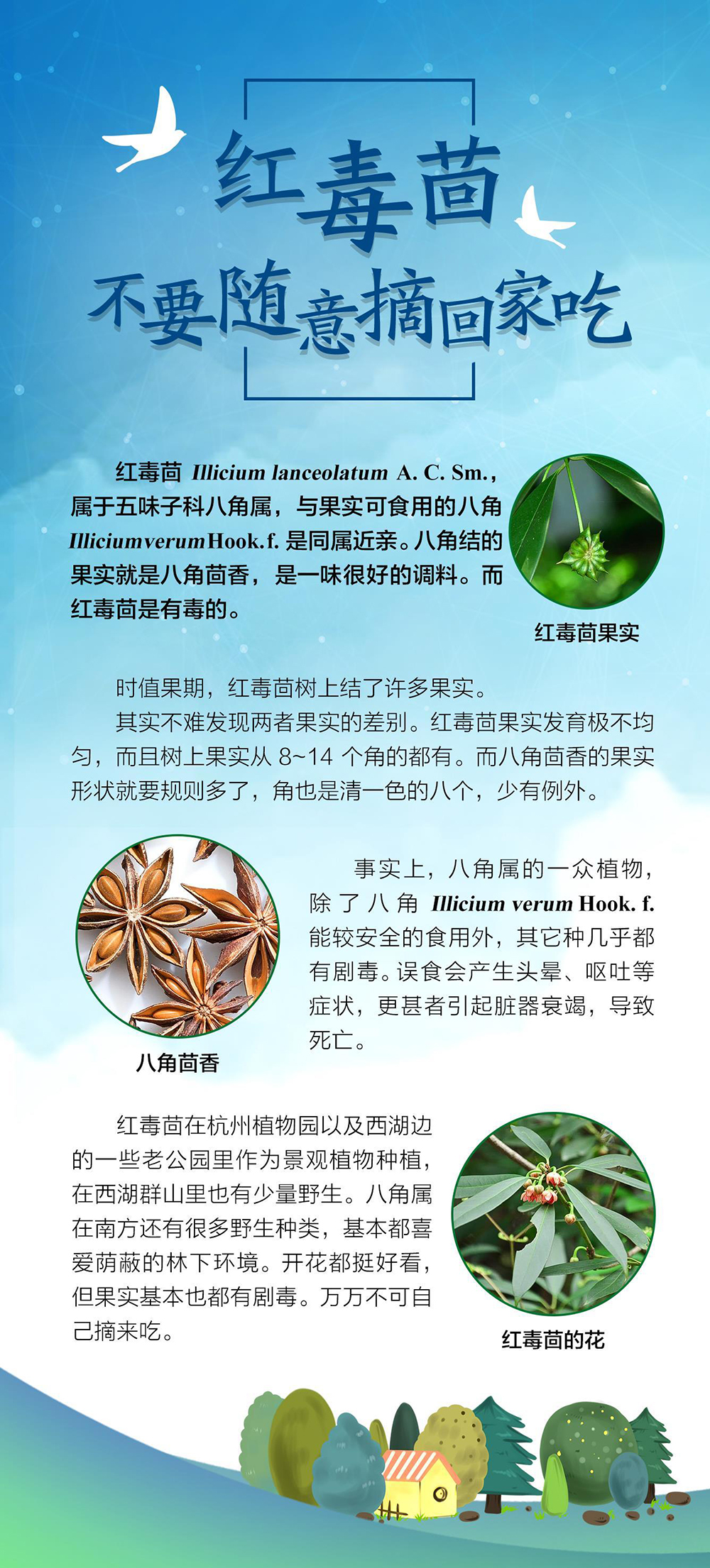 210616品質(zhì)生活從食用林產(chǎn)品開始 (3).jpg