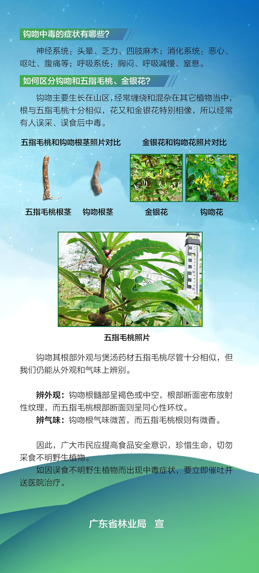 210616品質(zhì)生活從食用林產(chǎn)品開始 (6).jpg