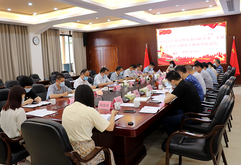 210809市自然資源局機(jī)關(guān)第一黨支部召開專題組織生活會(huì) (1).jpg
