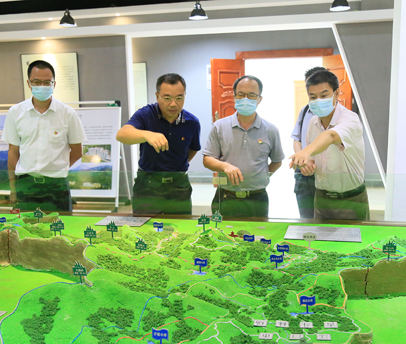 210823市委黨史學(xué)習(xí)教育第七巡回指導(dǎo)組到市自然資源局基層單位指導(dǎo)調(diào)研和講專題黨課 (2).jpg