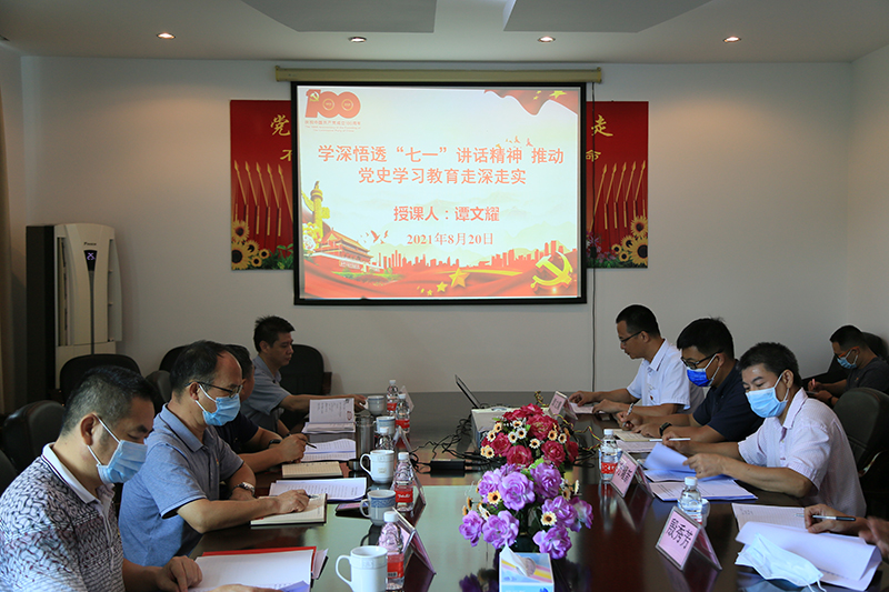 210823市委黨史學(xué)習(xí)教育第七巡回指導(dǎo)組到市自然資源局基層單位指導(dǎo)調(diào)研和講專題黨課 (3).jpg