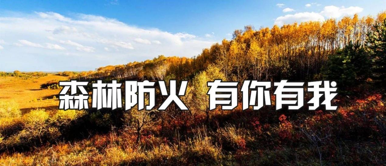 210909森林防火“十不準(zhǔn)” (1).jpg
