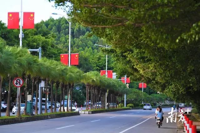 行駛在新會(huì)區(qū)會(huì)城大道,鮮艷的“中國(guó)紅”把街道裝點(diǎn)得喜慶熱烈。 南方+ 楊興樂(lè) 拍攝 圖片