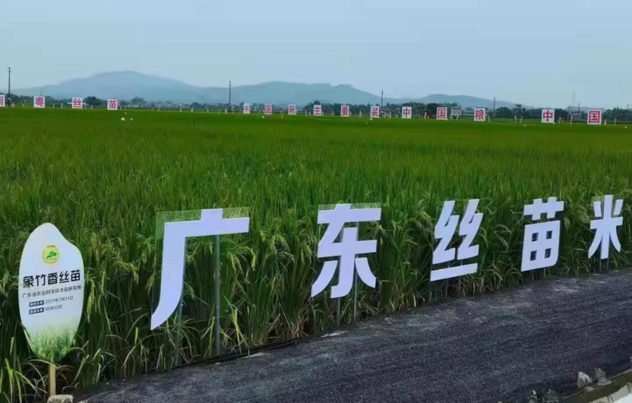 1784、關(guān)于組織申報(bào)2022年扶持家庭農(nóng)場(chǎng)產(chǎn)業(yè)發(fā)展資金項(xiàng)目的通知-1.jpg