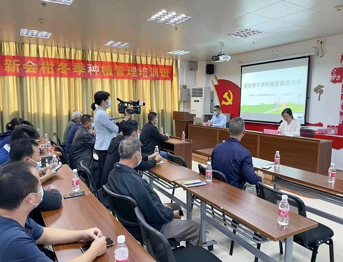 市供銷社派駐第一書記請(qǐng)來農(nóng)技專家助力三江陳皮產(chǎn)業(yè)提質(zhì)增效2.jpg