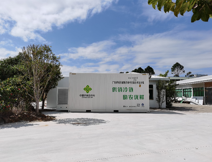 臺山市海宴鎮(zhèn)供銷社開展助力冬種推廣活動2.png