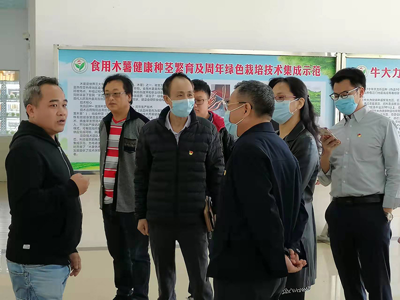 211206市直機關黨組織第四片組開展“學史力行 我為港澳臺青年辦實事”活動 (2).jpg