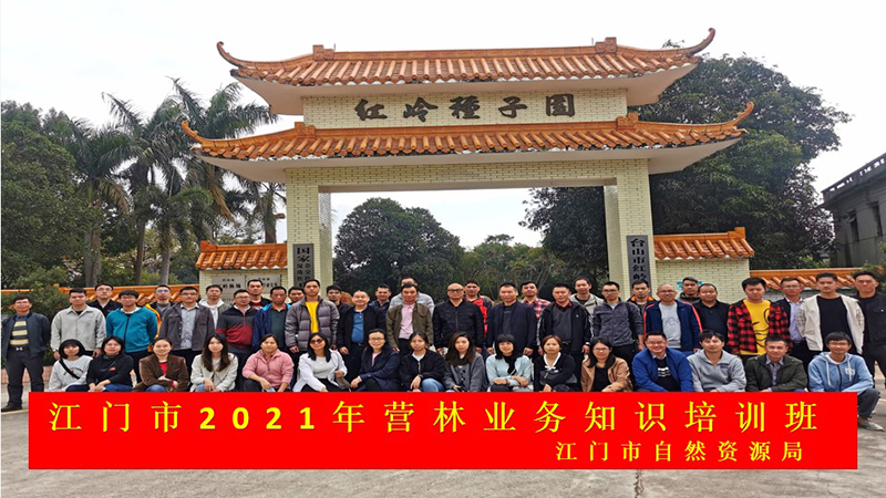 211222江門(mén)市自然資源局舉辦2021年江門(mén)市營(yíng)林業(yè)務(wù)工作培訓(xùn)班 (7).jpg
