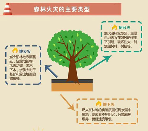 220120這些森林防火常識，你GET到了么？ (3).jpg