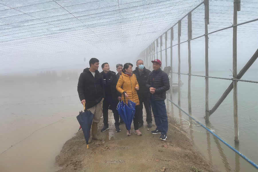 圖2（2月20日下午鄧明芳帶隊到江海區(qū)開展農(nóng)業(yè)生產(chǎn)防寒防凍和農(nóng)村地區(qū)新冠肺炎疫情防控工作檢查督導(dǎo)。）.jpg