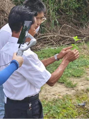 恩平首場農(nóng)技知識大講堂——恩平簕菜種植技術759.png