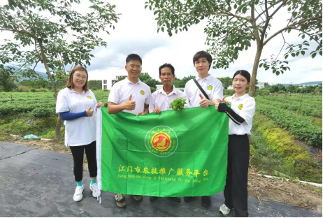 恩平首場農(nóng)技知識大講堂——恩平簕菜種植技術885.png