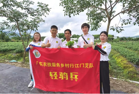 恩平首場農(nóng)技知識大講堂——恩平簕菜種植技術888.png