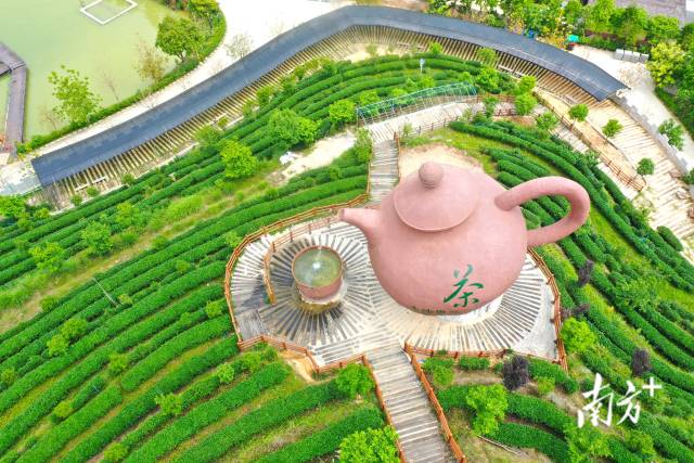 巨型茶壺是大沙里·歡茶谷的標(biāo)志。  南方+ 楊興樂 拍攝