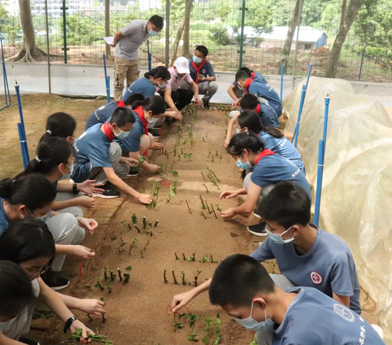 220606我市舉辦“市花綻放，醉美僑都”主題市花科普種植活動(dòng) (2).jpg