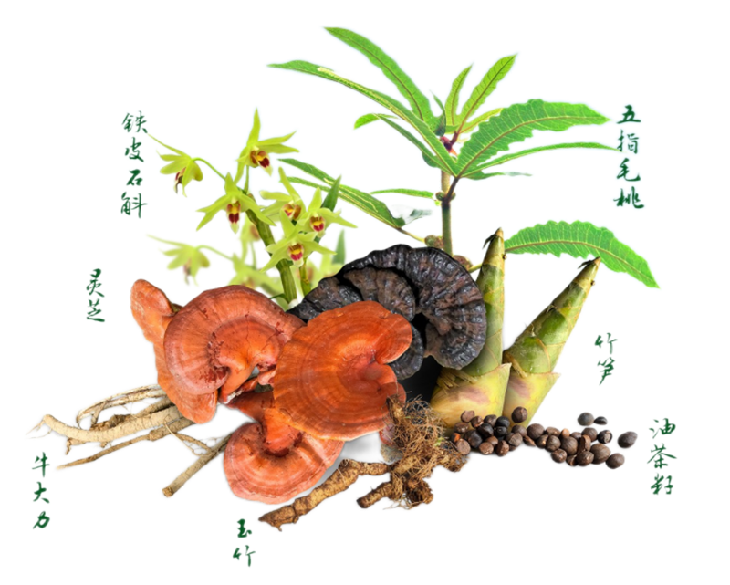 220629筑牢食用林產(chǎn)品質(zhì)量安全防線 助力人民生活更美好.png