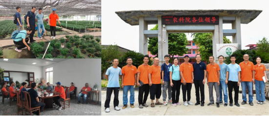 綠香美科技下鄉(xiāng)新聞稿297.png