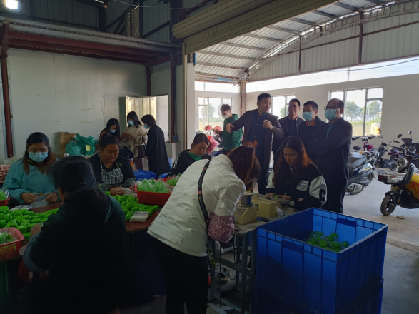 市農(nóng)業(yè)農(nóng)村局組織開展村級(jí)集體經(jīng)濟(jì)發(fā)展工作督導(dǎo)361.png