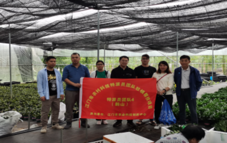 發(fā)揮黨建引擎作用，江門農(nóng)村科技特派團(tuán)隊(duì)助力鄉(xiāng)村產(chǎn)業(yè)振興(2)(1)1217.png