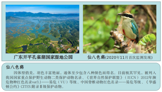 221229喜報！江門再添“國字號”生態(tài)名片廣東開平孔雀湖國家濕地公園順利通過國家驗收 (1).png