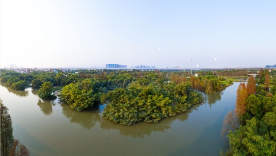230202加快濕地保護(hù)修復(fù)  你我義不容辭 (3).jpg