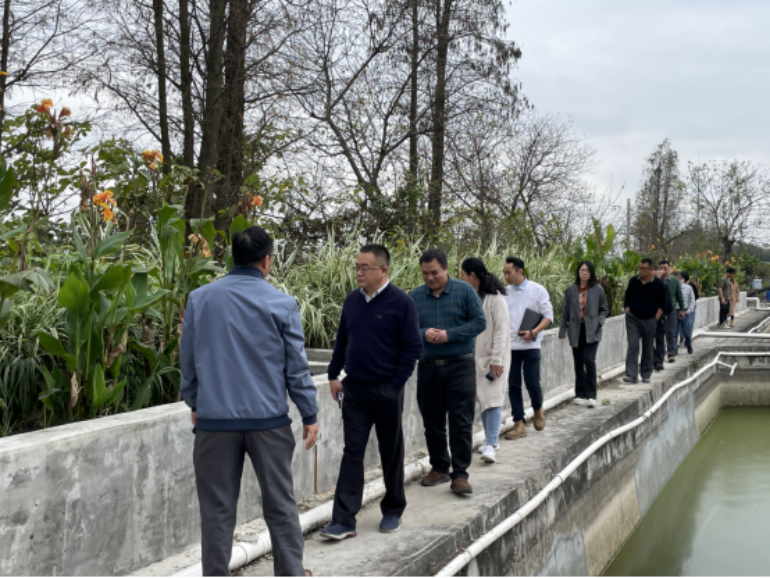 打造養(yǎng)殖尾水凈化技術(shù)示范，建設(shè)水清魚(yú)歡優(yōu)美生態(tài)——江門(mén)市水產(chǎn)養(yǎng)殖尾水凈化技術(shù)試驗(yàn)示范項(xiàng)目順利通過(guò)驗(yàn)收702.png