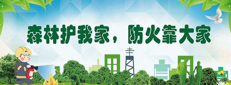 230222 嚴(yán)防森林火災(zāi)守護(hù)平安清明 (2).jpg