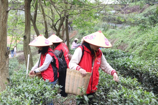 230412江門市自然資源局婦委會(huì)開展“巾幗心向黨，奮進(jìn)新征程”三八婦女活動(dòng) (4).jpg