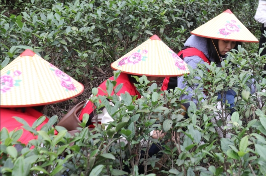 230412江門市自然資源局婦委會(huì)開展“巾幗心向黨，奮進(jìn)新征程”三八婦女活動(dòng) (5).jpg