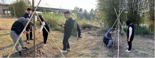 230516嚴(yán)格苗木管理 保證造林質(zhì)量——江門市各級(jí)林業(yè)主管部門加強(qiáng)種苗質(zhì)量檢查監(jiān)管 (2).jpg