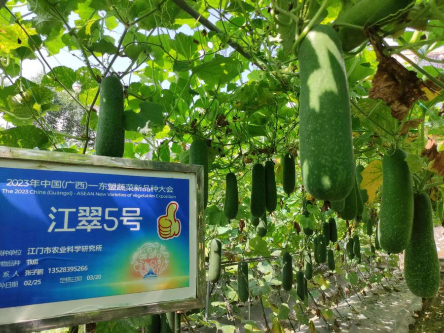 圖片1.jpg