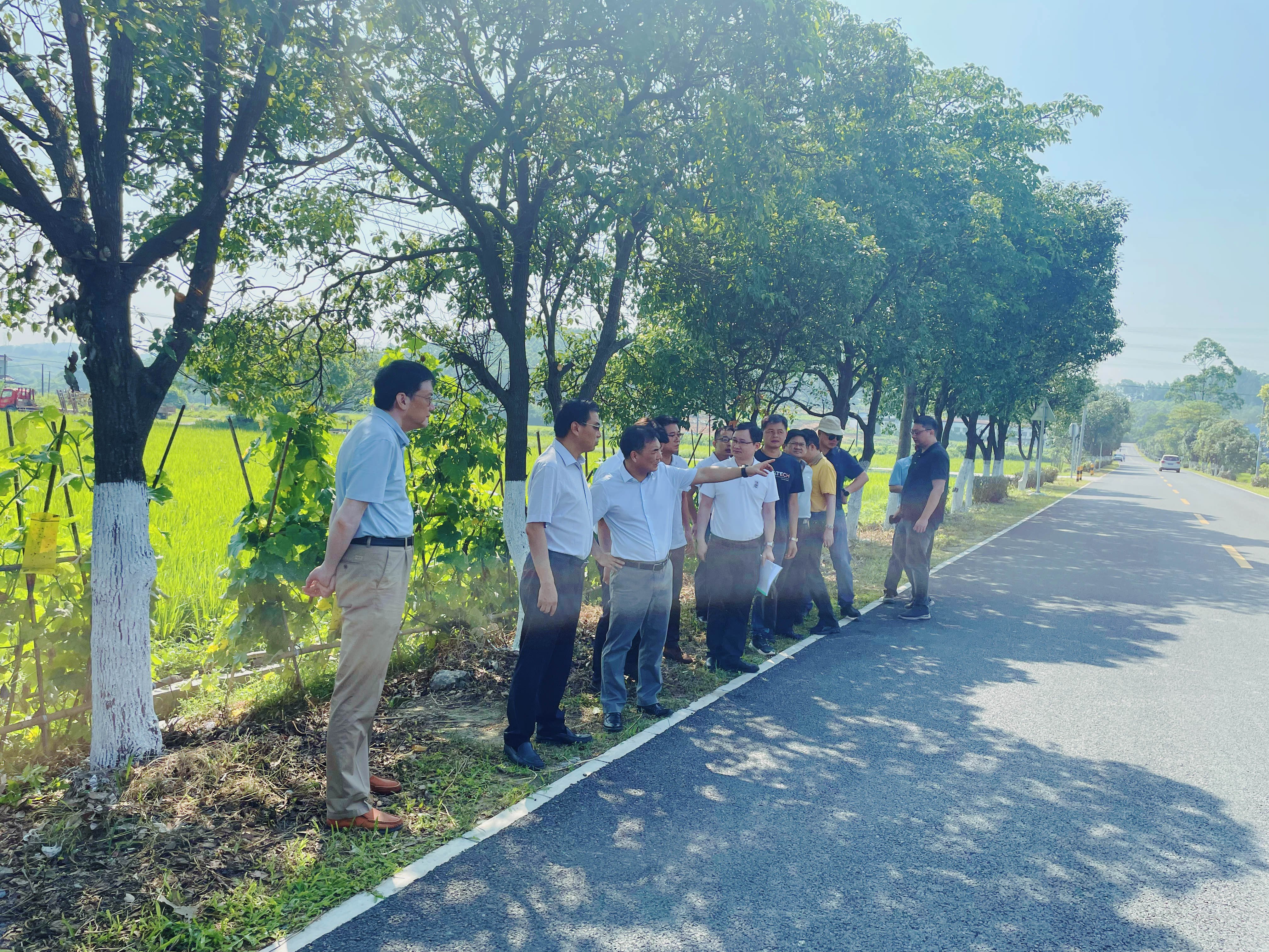 圖2 督導組調(diào)研開平市美麗農(nóng)村路項目村道四貴線路面改造工程.jpg